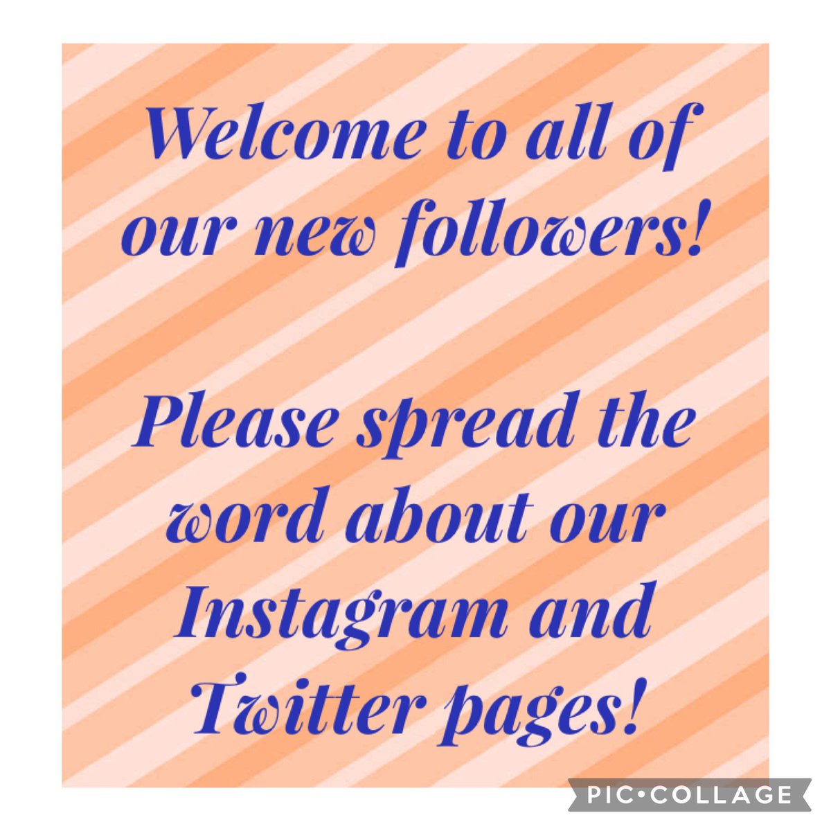 Cove Infant School tweet media