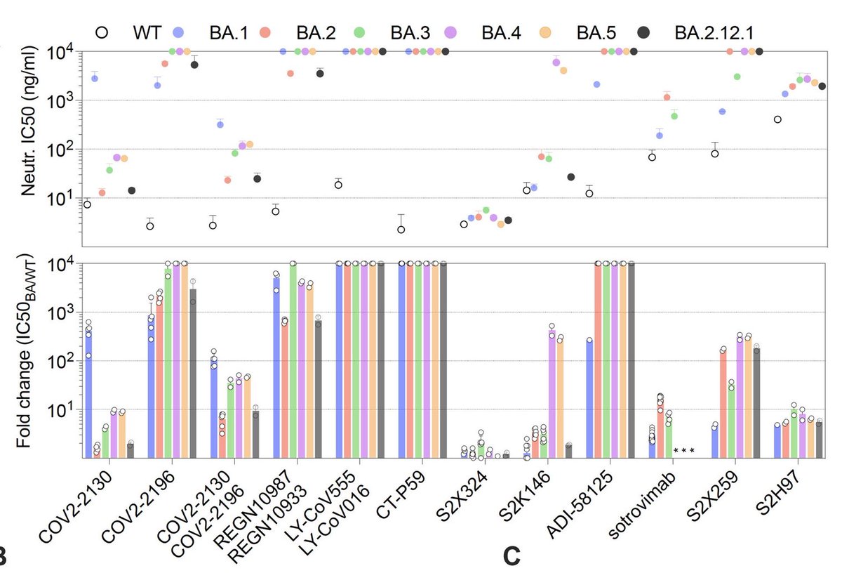 HubbubWorld's tweet photo. #SARSCoV2 #EmergingVariants #USA
What about immunity from prior Omicron infection?
1. BA.4 & BA.5 escape from monoclonal antibodies more than BA.1 BA.2
2. Omicron infection recovery immunity is very narrow to the specific variant H/T @veeslerlab
#BA4 #BA5 https://t.co/FHsxJzlzg2