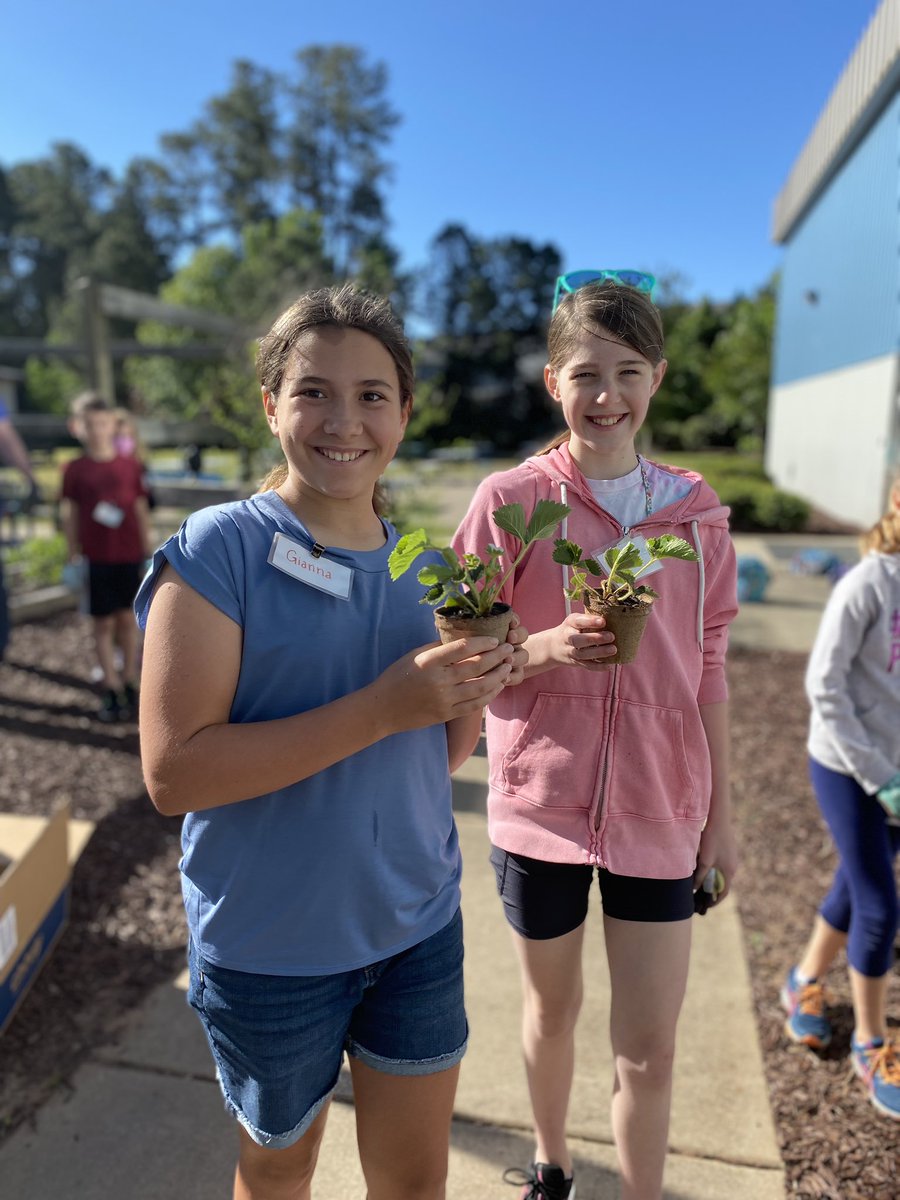 LPESGardenClub's tweet photo. Today was the last garden club meeting for a few of our long time gardeners and rising 5th graders Brooke and Gianna! We wish you all the best in middle school! 🐧 ♥️ We planted our 3 sisters garden, pumpkins and sweet potatoes too! 🪴#schoolgarden #wcpss https://t.co/cGbFxN6oIX