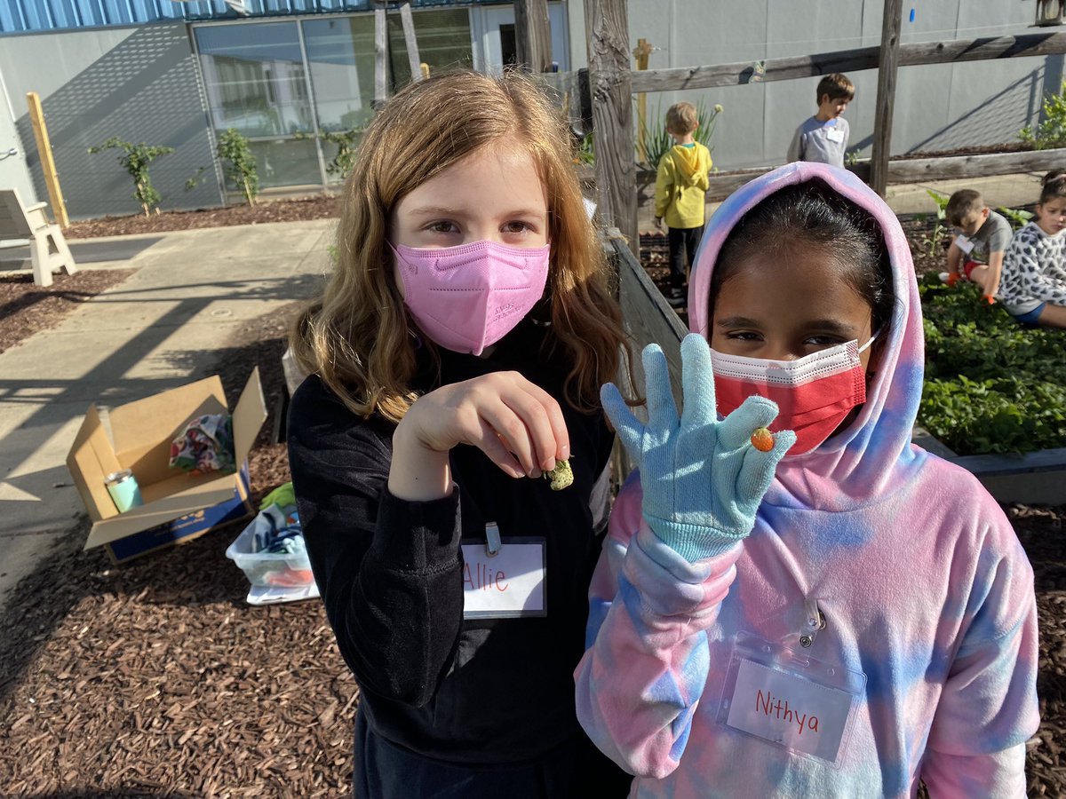 LPESGardenClub's tweet photo. Today was the last garden club meeting for a few of our long time gardeners and rising 5th graders Brooke and Gianna! We wish you all the best in middle school! 🐧 ♥️ We planted our 3 sisters garden, pumpkins and sweet potatoes too! 🪴#schoolgarden #wcpss https://t.co/cGbFxN6oIX