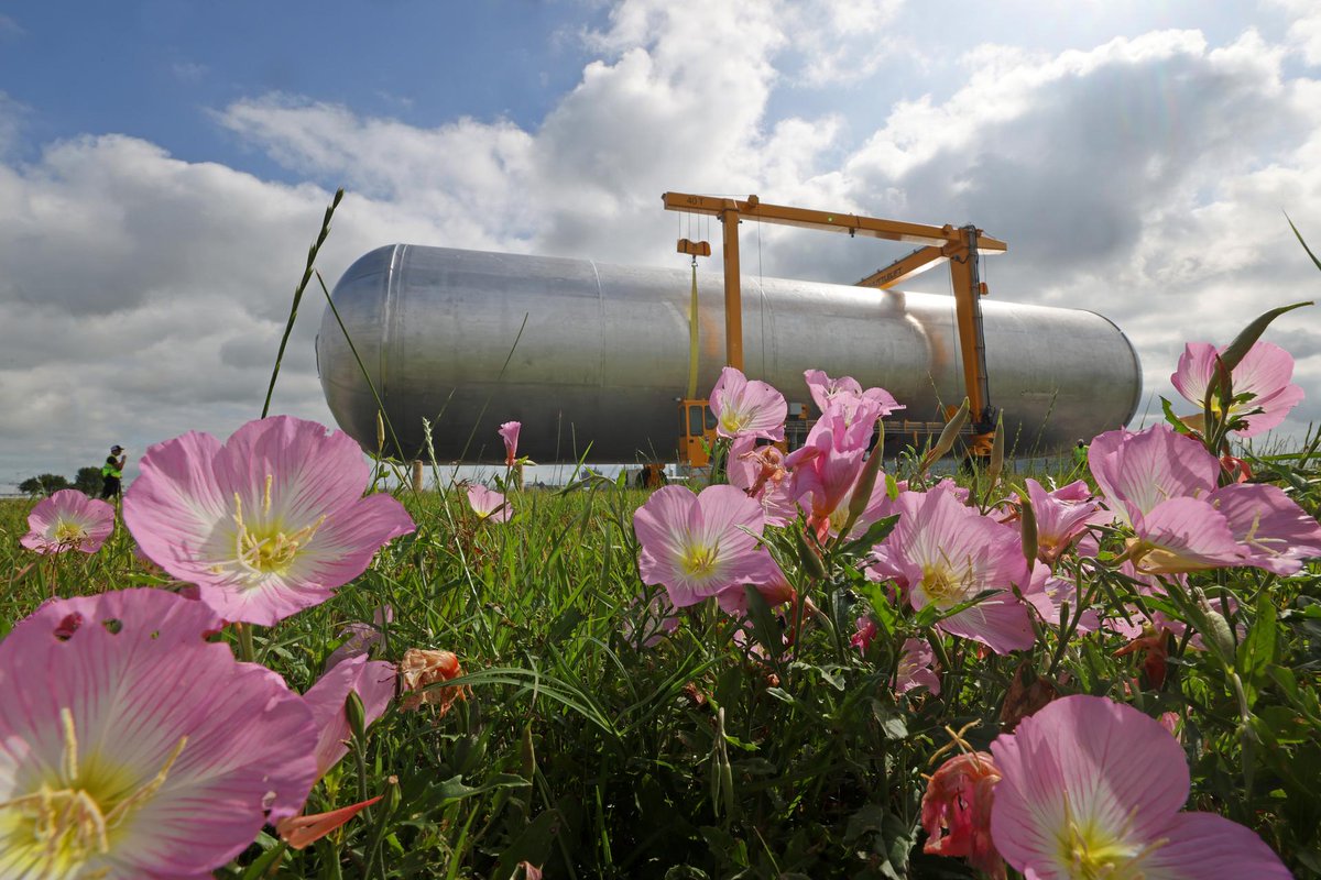 NASA_SLS's tweet photo. Hey #NASASLS, those spring flowers look good on you! 💐 

📸 Photo credit: NASA/ Michael DeMocker and Ben Smegelsky https://t.co/dnp0CipUP7