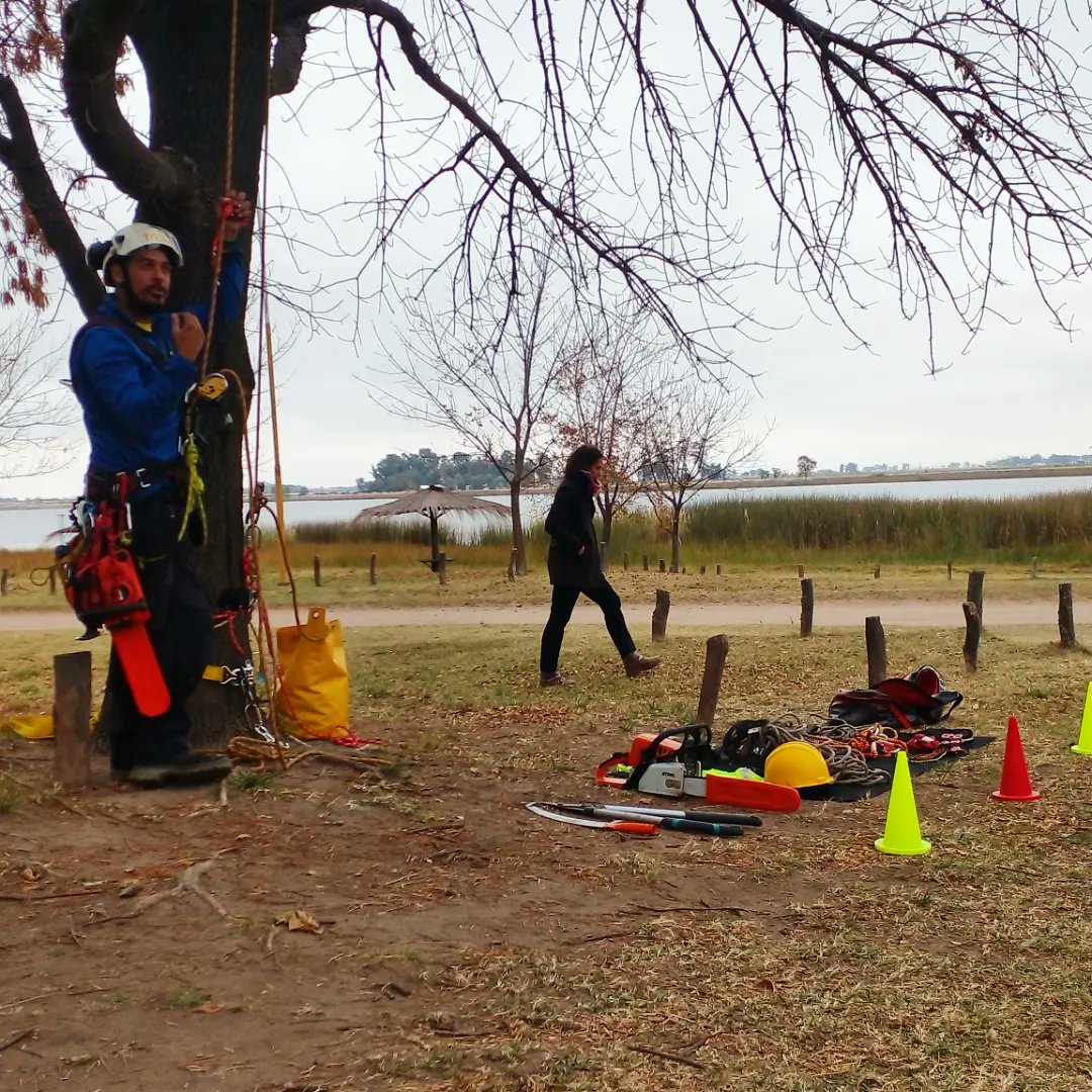 rvicente1977's tweet photo. Hoy tocó dictar curso de poda en árboles urbanos!
#urbanforest #arboriculture #treeprunning a https://t.co/ttfCOZ5NJp