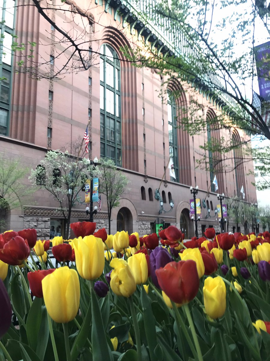 50FivePhotoJ's tweet photo. Street Documentary Photography
50Five Photo Journal
https://t.co/DHobDg0Rkm
#50FivePhotoJournal
#Photography
#StreetDocumentaryPhotography
#StreetPhotography
#Illinois
#Chicago
#SouthLoop
#StateStreet
#HaroldWashingtonLibrary
#Tulips https://t.co/a7rQ9CAInI