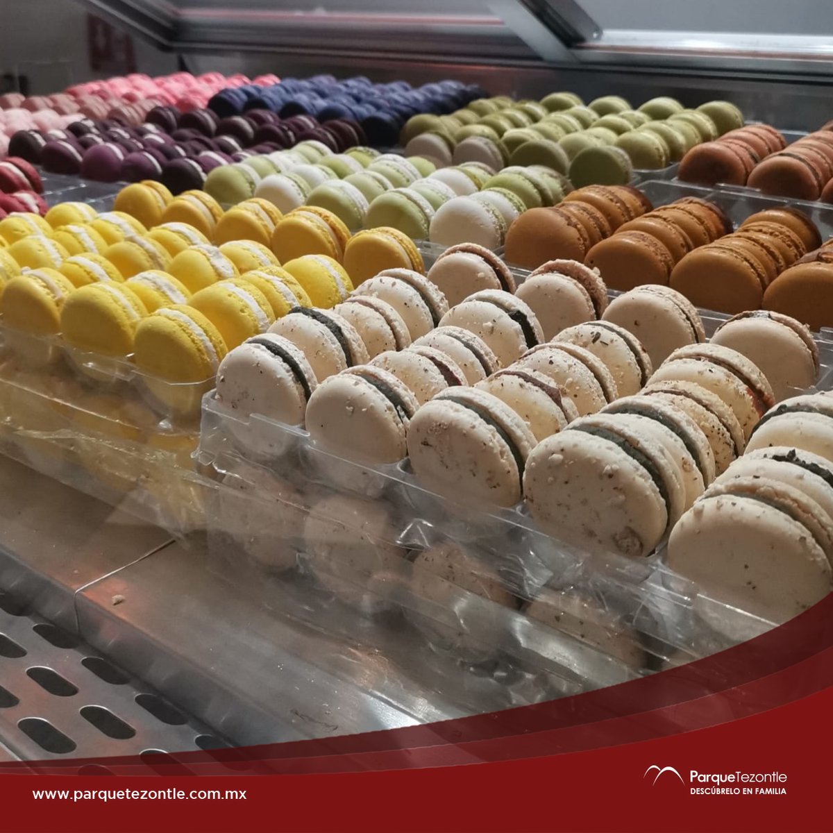 parque_tezontle's tweet photo. 😋¿Olvidaste el regalo de mamá?
¡Encuentra la mejor opción de postres en #LeMacaron, segundo nivel! 🥯
#postres
#macaronlover
#cake
#ParqueTezontle
#DescubreloEnFamilia
https://t.co/rQ6v33n77S https://t.co/ERPQI4Br0u