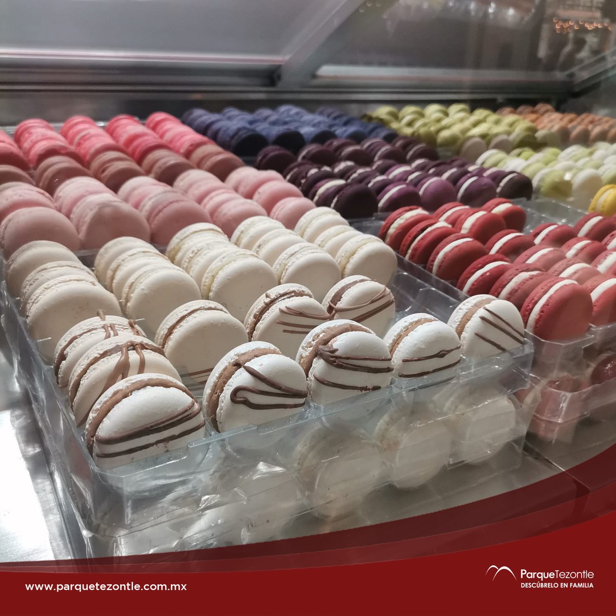 parque_tezontle's tweet photo. 😋¿Olvidaste el regalo de mamá?
¡Encuentra la mejor opción de postres en #LeMacaron, segundo nivel! 🥯
#postres
#macaronlover
#cake
#ParqueTezontle
#DescubreloEnFamilia
https://t.co/rQ6v33n77S https://t.co/ERPQI4Br0u