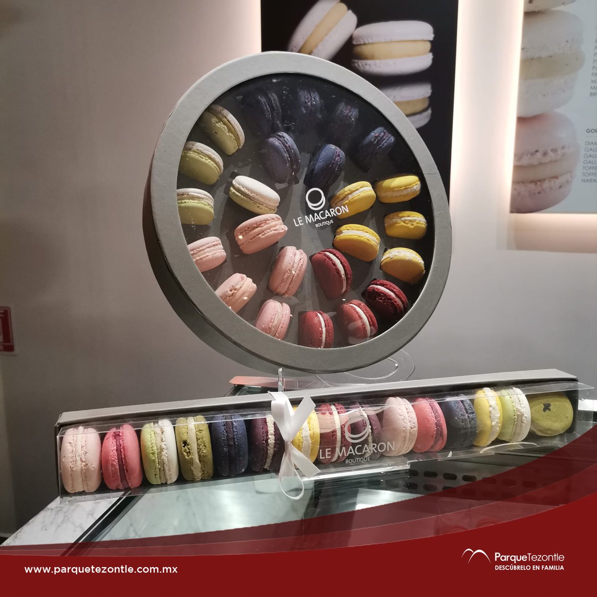 parque_tezontle's tweet photo. 😋¿Olvidaste el regalo de mamá?
¡Encuentra la mejor opción de postres en #LeMacaron, segundo nivel! 🥯
#postres
#macaronlover
#cake
#ParqueTezontle
#DescubreloEnFamilia
https://t.co/rQ6v33n77S https://t.co/ERPQI4Br0u