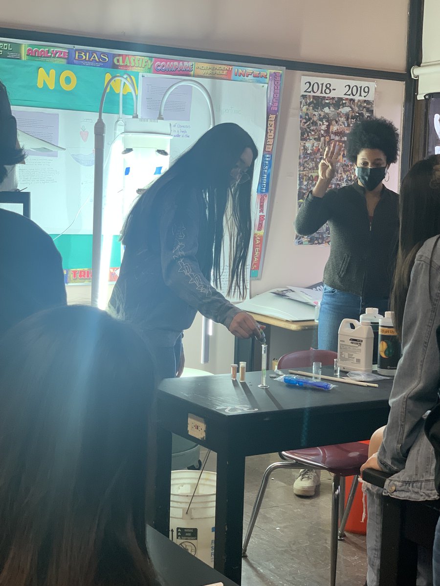 MsJJoung's tweet photo. Our IB Biology juniors seeded, checked ph 2x/week, changed fertilizer weekly and the plants have sprouted with some interesting data for our six different plants! @CarlSchurzHS https://t.co/zb1d5mh9xc