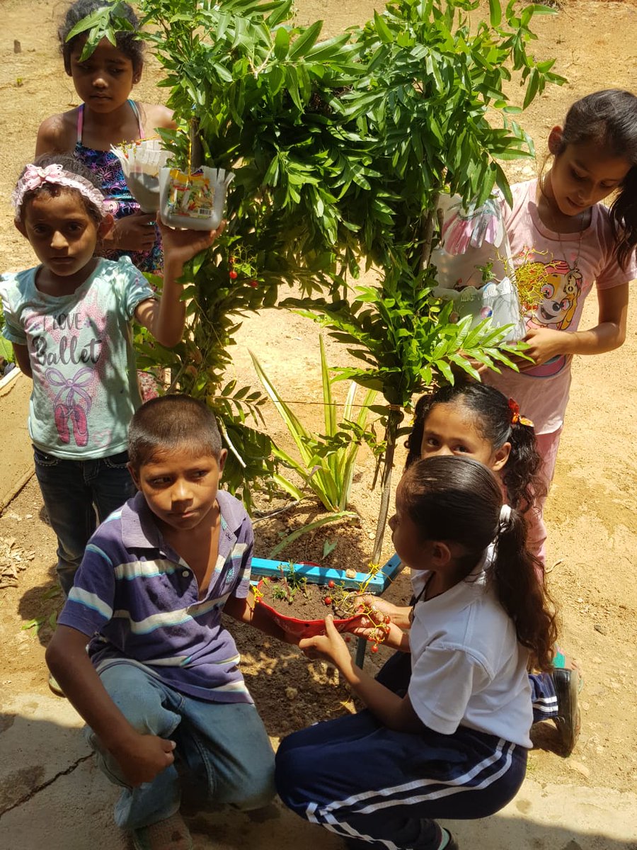 Niños sembrando planta en el centro escolar Contingente XXXI Aniversario