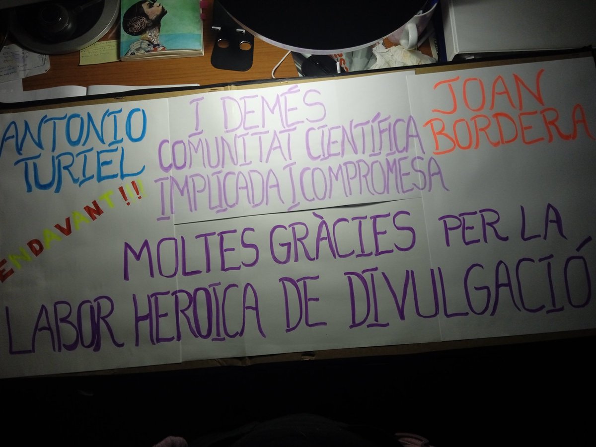 Ana Domenech vidal (@domenechvidal) on Twitter photo 