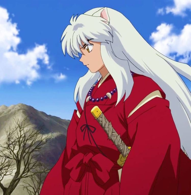 DAICHlNU's tweet photo. kagome won https://t.co/Gd51BQXZDk