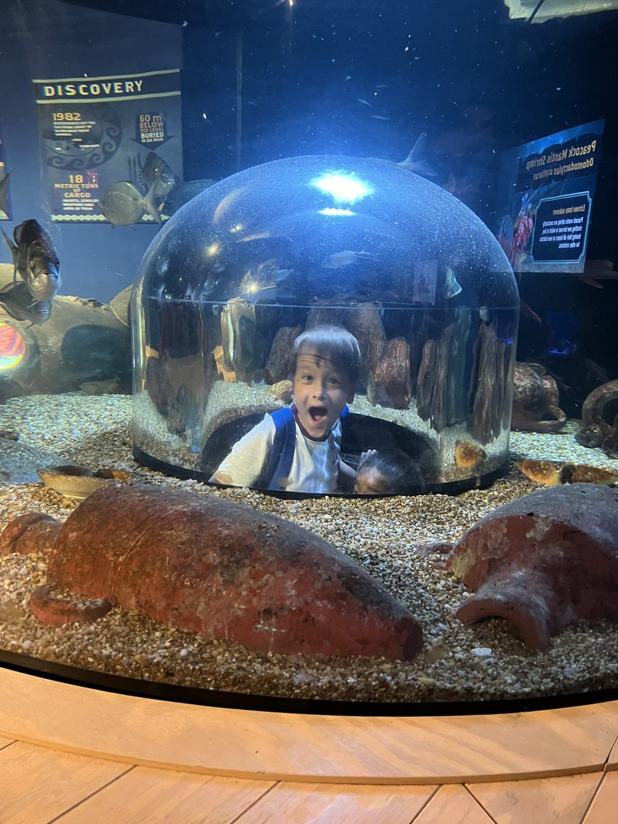 The smiles on these faces as they embarked on their first ever school trip says it all! Thanks <a href="/RipleysAquaCA/">Ripley's Aquarium of Canada</a>, the students in <a href="/MsPileggi/">Ms. Pileggi</a>’s class loved the experience! 🐠 <a href="/stalphonsaDP/">St. Alphonsa Catholic Elementary School</a>