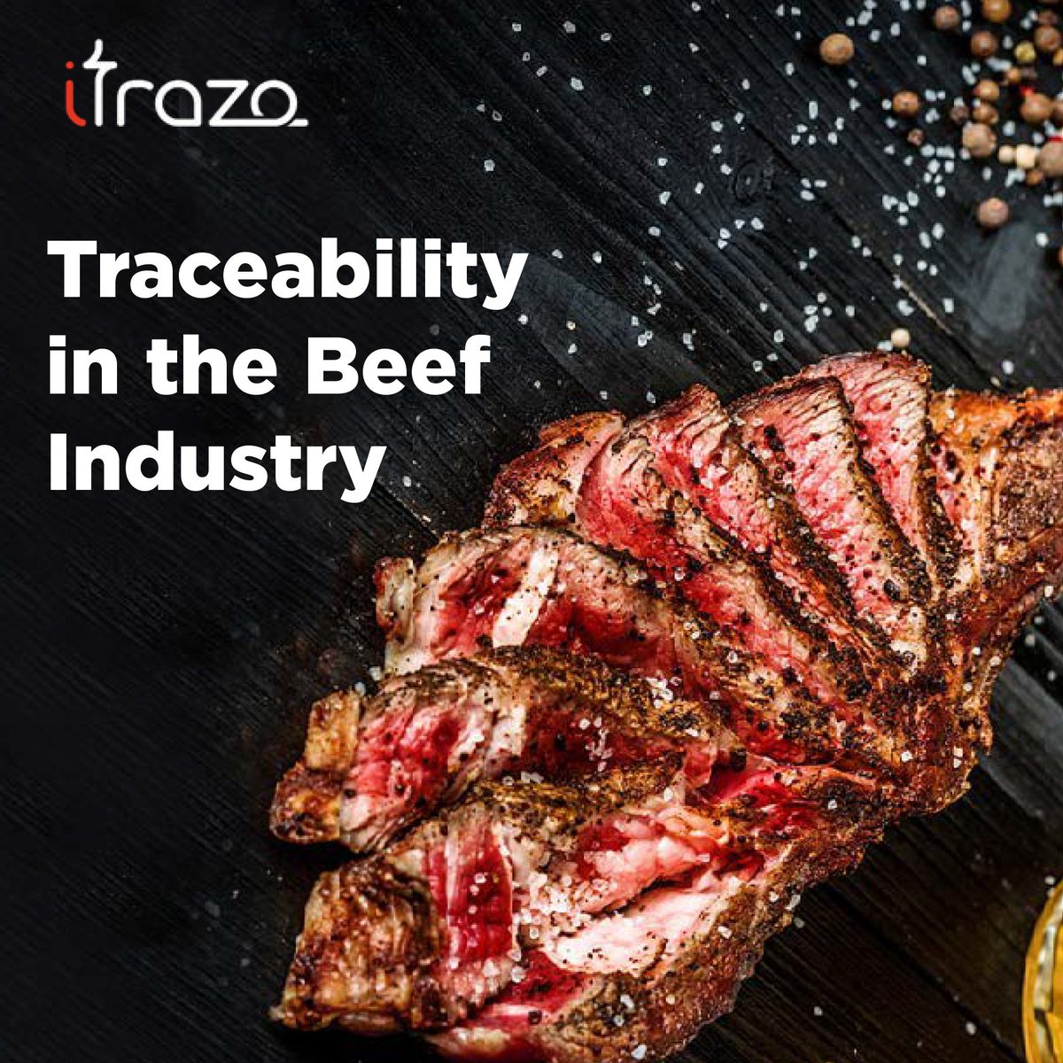 itrazotracetech's tweet photo. Animal health and food safety is a recurring issue in the beef industry. Diseases such as Anthrax and Bovine respiratory disease continuing to cause problems for beef producers all over Australia with mass product recalls being a result.
Read full bio: https://t.co/uxJ6XDqb9J https://t.co/QVgVLz1Ux8