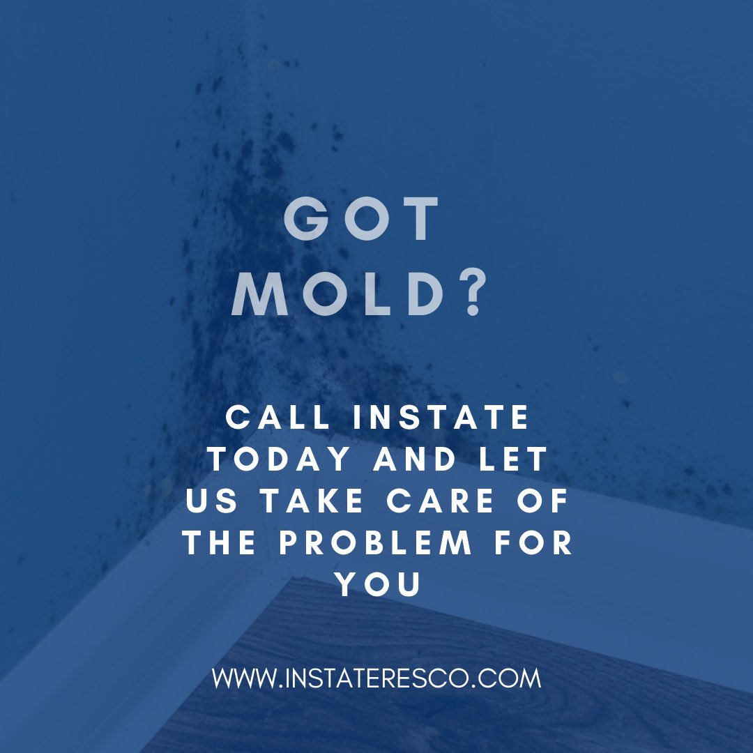 Call today and let us get you back to living life as you know it.

#explore #explorepage #waterrestoration #restoration #waterfiremold #SanDiego #sandiegorestoration #instateresco #IICRCcertified
#moldremedition #restorationservices #firedamage #waterdamage