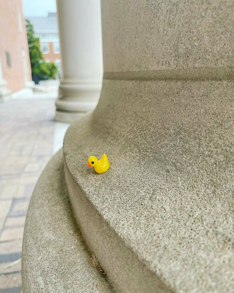 HornbakeLibrary's tweet photo. Visit Hornbake Library for the quiet study space and archives… stay for the miniature rubber duckies!
Have you spotted these tiny ducks around our spaces?
#umdspecialcollections #rubberduck #umd #hornbakelibrary #findtheduck https://t.co/VevbkTXQbB https://t.co/I5X4OUNlfx