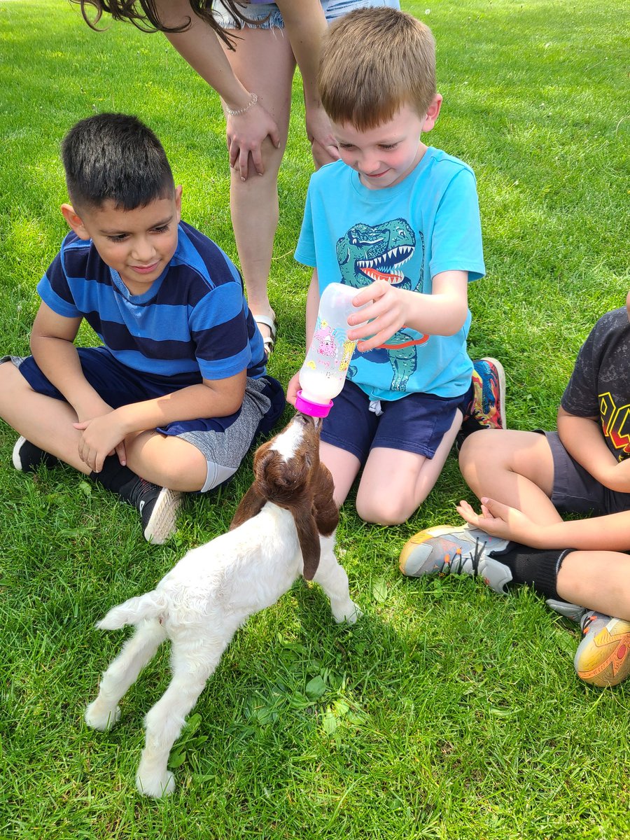 iwes2a's tweet photo. We're excited about the IW FFA Animal Fair on Saturday! #iwesraiders #iwraiders https://t.co/JbutUjuF8x