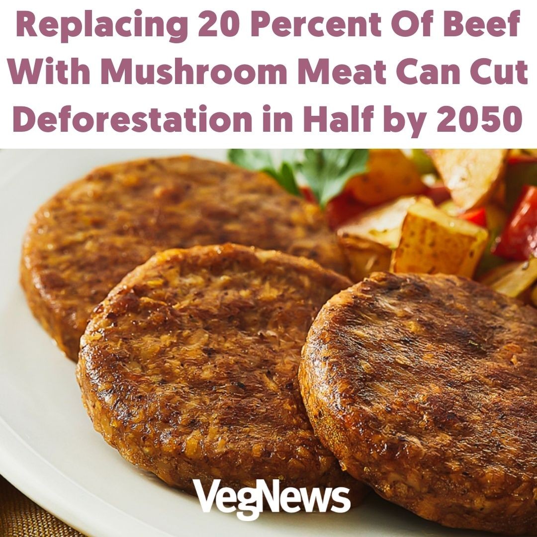 Bring on the 🍄 burgers!