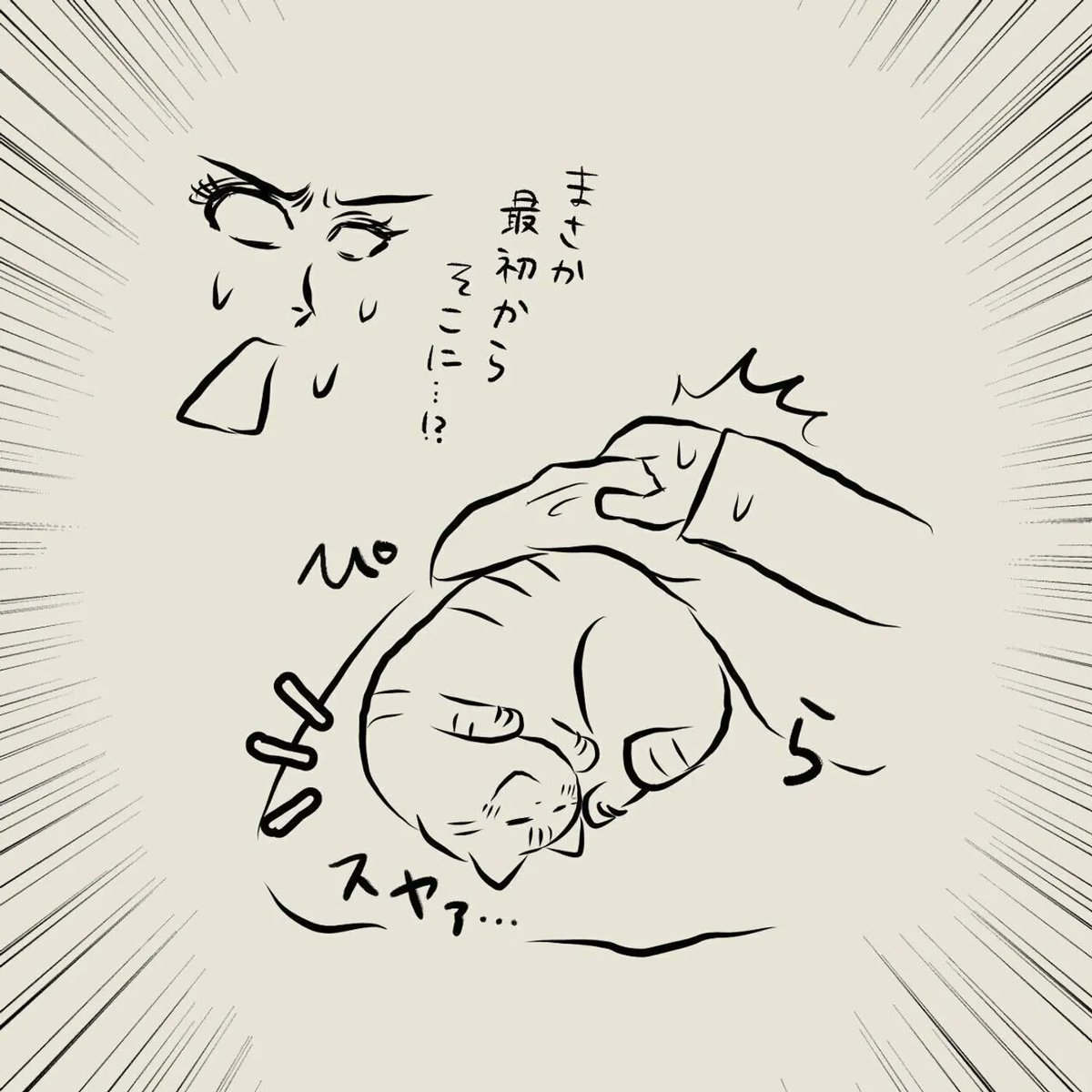 警戒心の強い元野良猫が、地震の時にとった行動とは!? 【連載】交通事故にあった猫を拾いました#64|ねこのきもちWEB MAGAZINE https://t.co/X6DsEyHKlm 