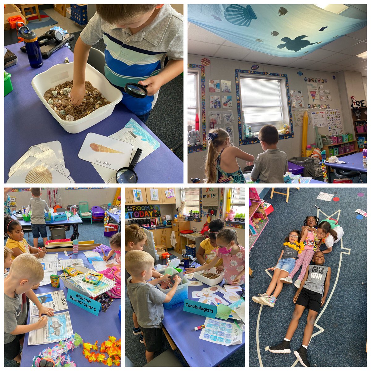 kyndrahartzler's tweet photo. How fun is this ocean classroom transformation? These marine researchers were reading, writing, discovering, and analyzing like crazy!! 🦈 🌊 @Ms__Garza @BirkesCFISD #BirkesBest🐾@CFISDPK1 https://t.co/hR8hJepCQB