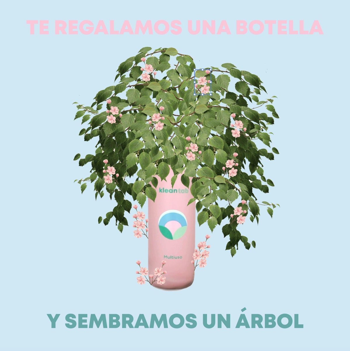Adquirí un 3Pack en nuestra tienda en línea (link en bio) y te regalamos la botella. Por cada botella regalada sembramos un árbol 👉🏻 🌳 #economiacircular #costarica #startup