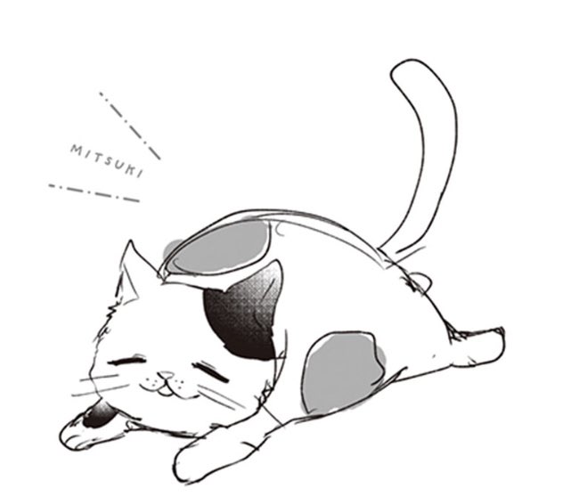 添い猫屋の猫(スタッフ)紹介その③
【海月(みつき)】
三毛猫の男の子。
モフモフとした大きな身体が特徴。
のんびり屋の食いしん坊。甘い物が大好き。特に支配人の作ったクッキーとドーナツに目がない。ティータイムの時間になるとソワソワする。