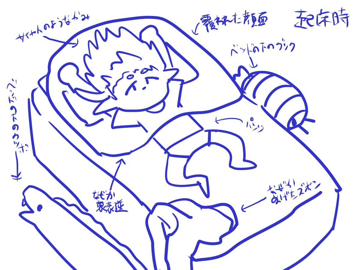 眠ってる間におれの身に何が起こってるのか誰か説明してほしい 