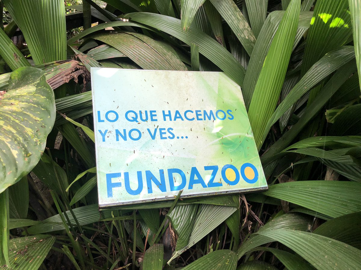 Hey Jude tweet media