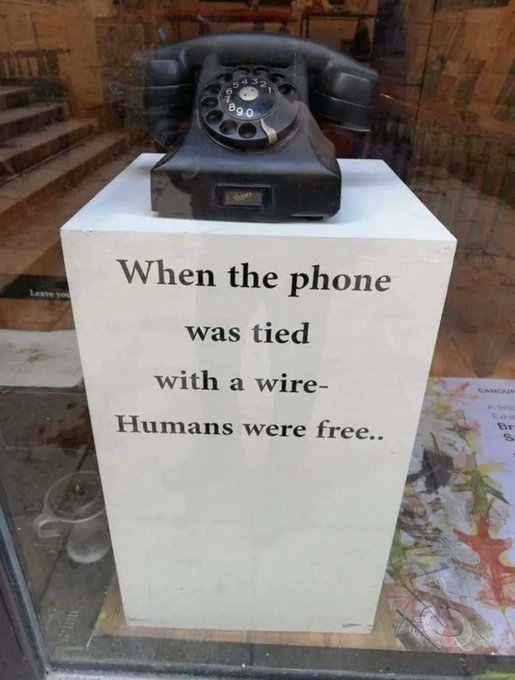 Irena Buzarewicz (@irenabuzarewicz) on Twitter photo 