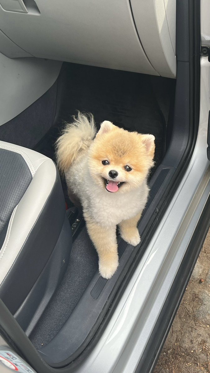 martiniano tweet media