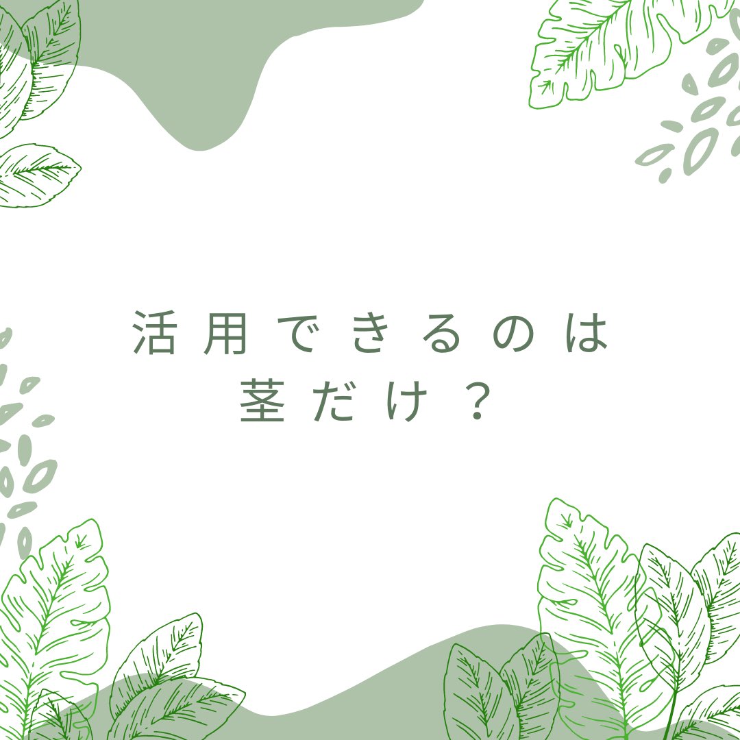 stemn_project's tweet photo. 「茎以外にも葉っぱもOKですか?」
という質問にお答えします。
#STEMN
#エシカル
#エシカルブランド
#サーキュラーエコノミー https://t.co/1oLgVr3MAD