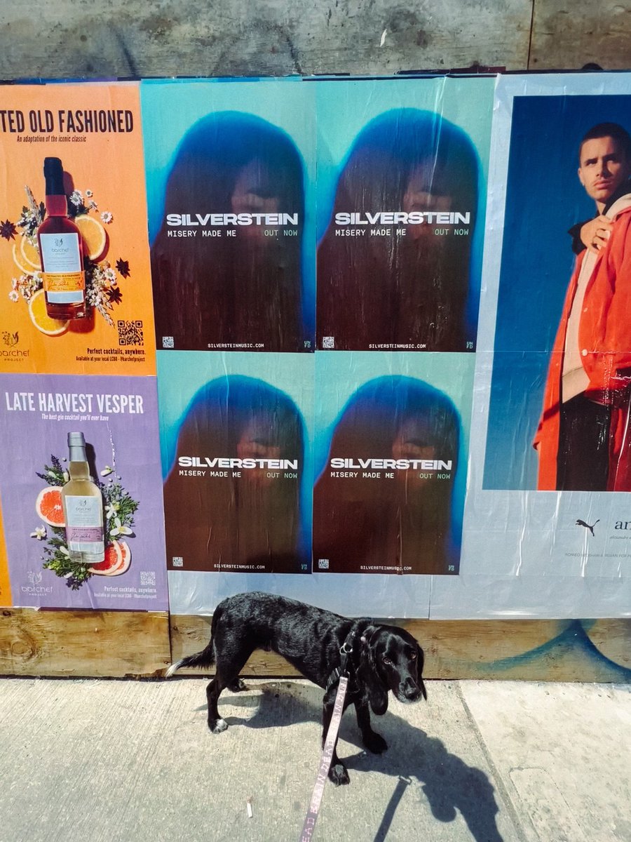 silverstein's tweet photo. Misery Made Me is all over town in Toronto🇨🇦. Get ready for our big hometown gig on October 2 at @HistoryToronto 

🎧 https://t.co/oCkc4UEsMh
🎫 https://t.co/Oppie1hSCZ https://t.co/groHrZgjrh