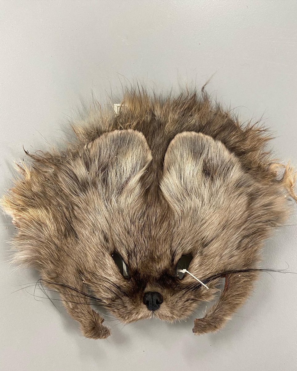 Cheers to finishing my first year of graduate school! 🎉