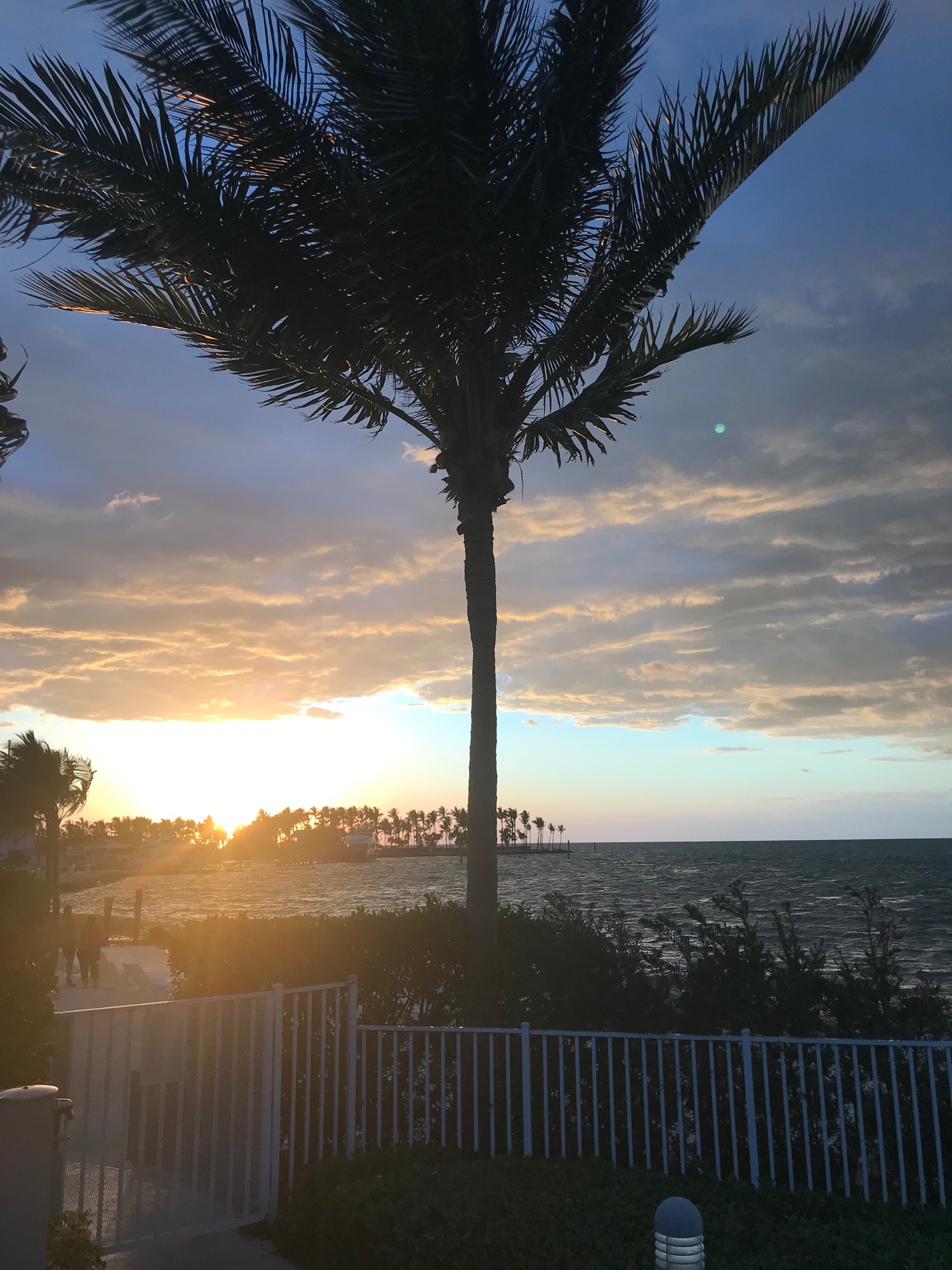 Matt Youmans on Twitter "paulstonesports Assume you hit the Ernest Hemingway bar in Key West