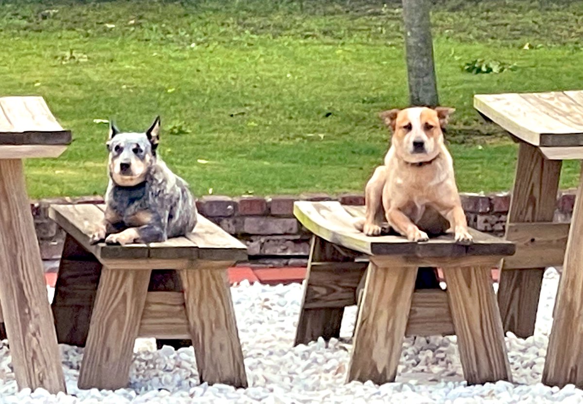 Life in the #msdelta be like….