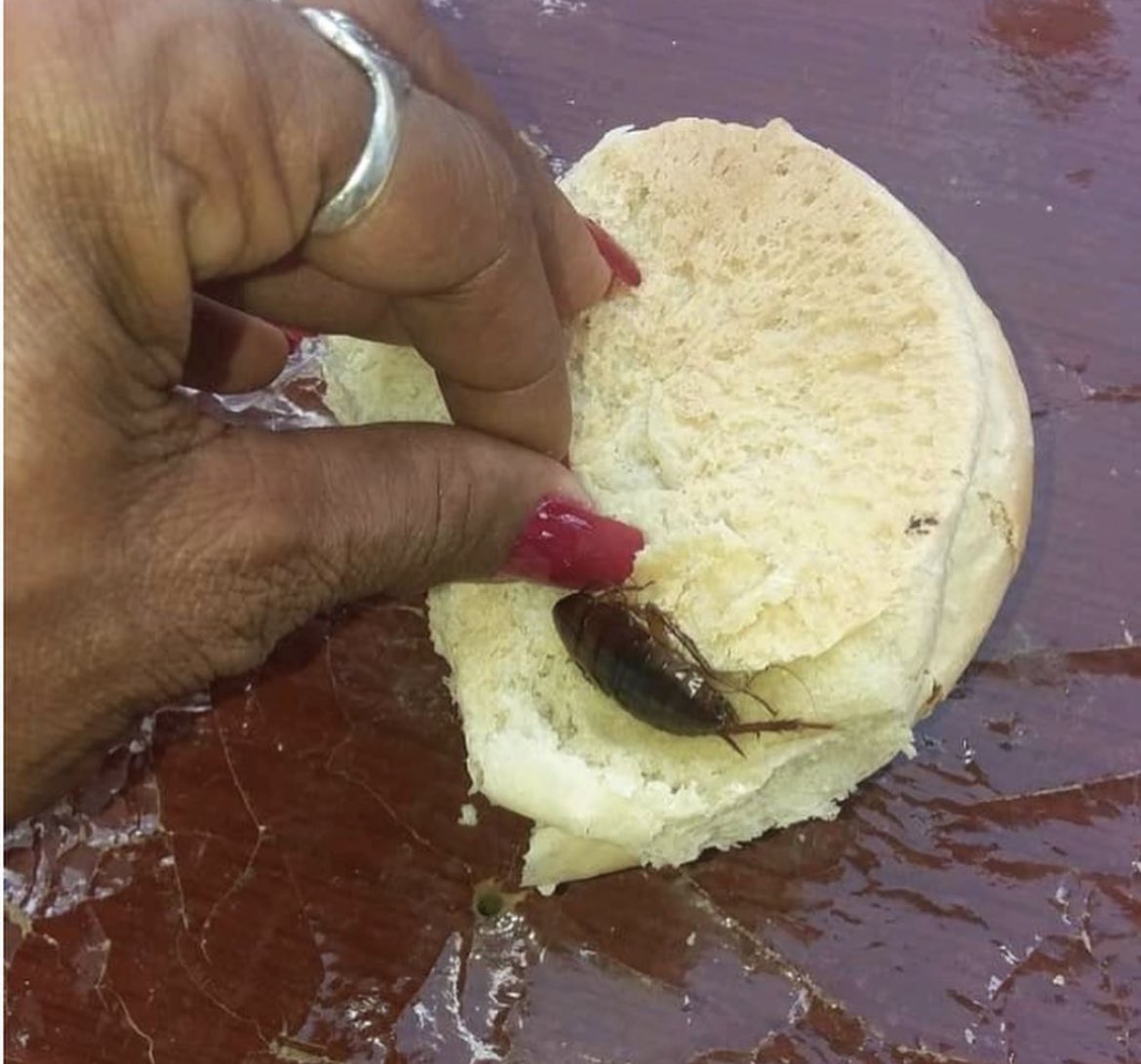 OmaritoInforma's tweet photo. Esto es lo que el régimen cubano le da a los cubanos, pan con cucaracha.🪳Como gustaría saber qué opinan los comunistas del capitalismo de esto. https://t.co/RzKbHa7kun