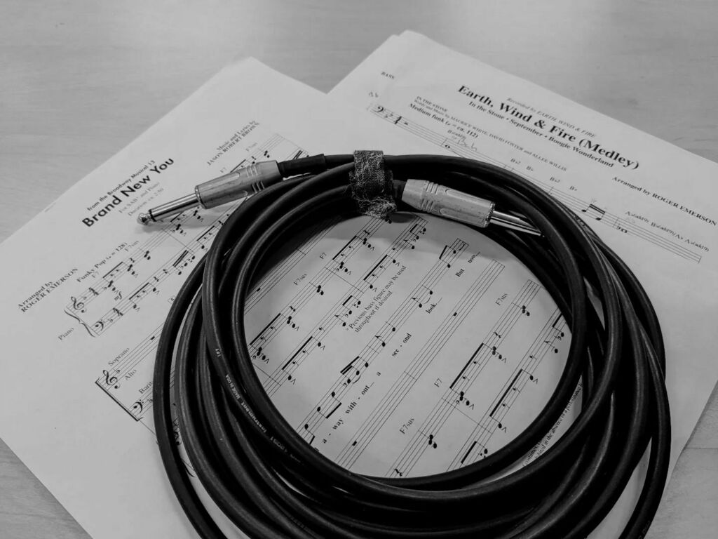 LibraryPoco's tweet image. Stepping out of retirement as a bassist to help the chorus teacher and my students. 

Can&apos;t play an @earthwindandfire medley without a live bass. instagr.am/p/Cdb8jijuPUp/