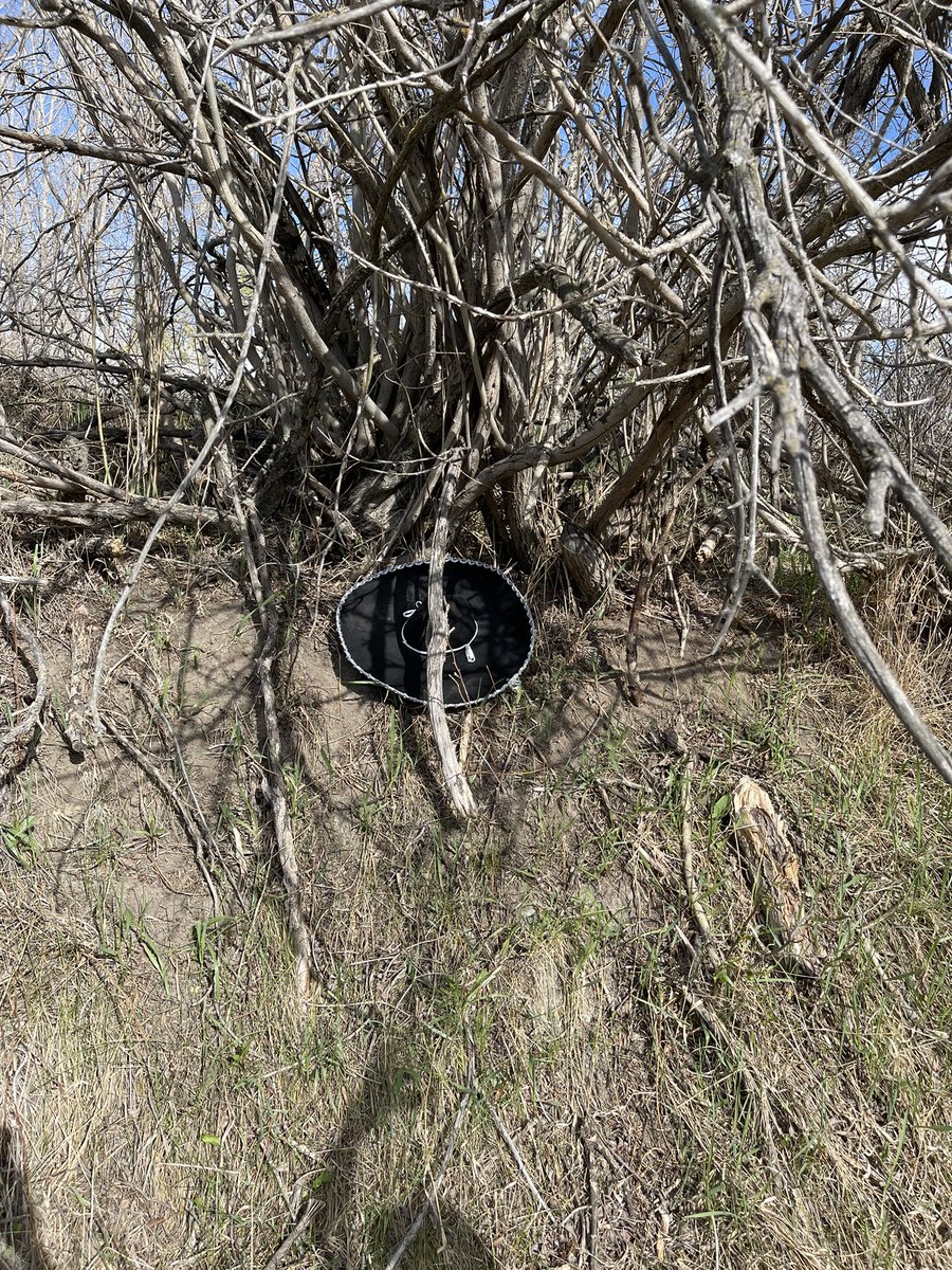 Ryan_DClark's tweet photo. If you donโt get this immunity item, you might be up a creek without a paddle tomorrow.
Donโt speed! Be safe! #MagTag
Tweet a picture after you find it! https://t.co/rKc8J8AaWl