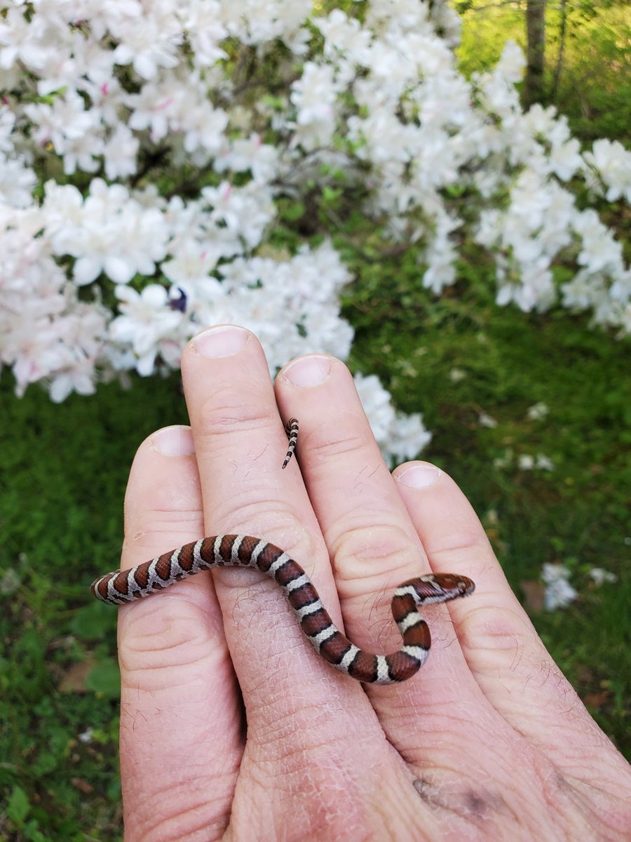 Dwight Kreiser tweet media