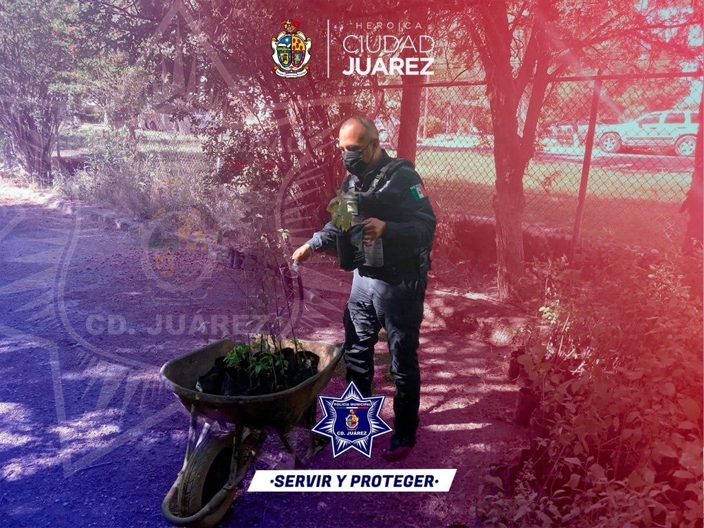 JrzSspm's tweet photo. *Reciben adultos mayores árboles para sus viviendas*

La Policía Comunitaria donó árboles a los adultos mayores del Consejo "Médanos' para ser plantados en sus viviendas

#serviryproteger
#sspm
#policia
#donacion https://t.co/zK1tqvzN90