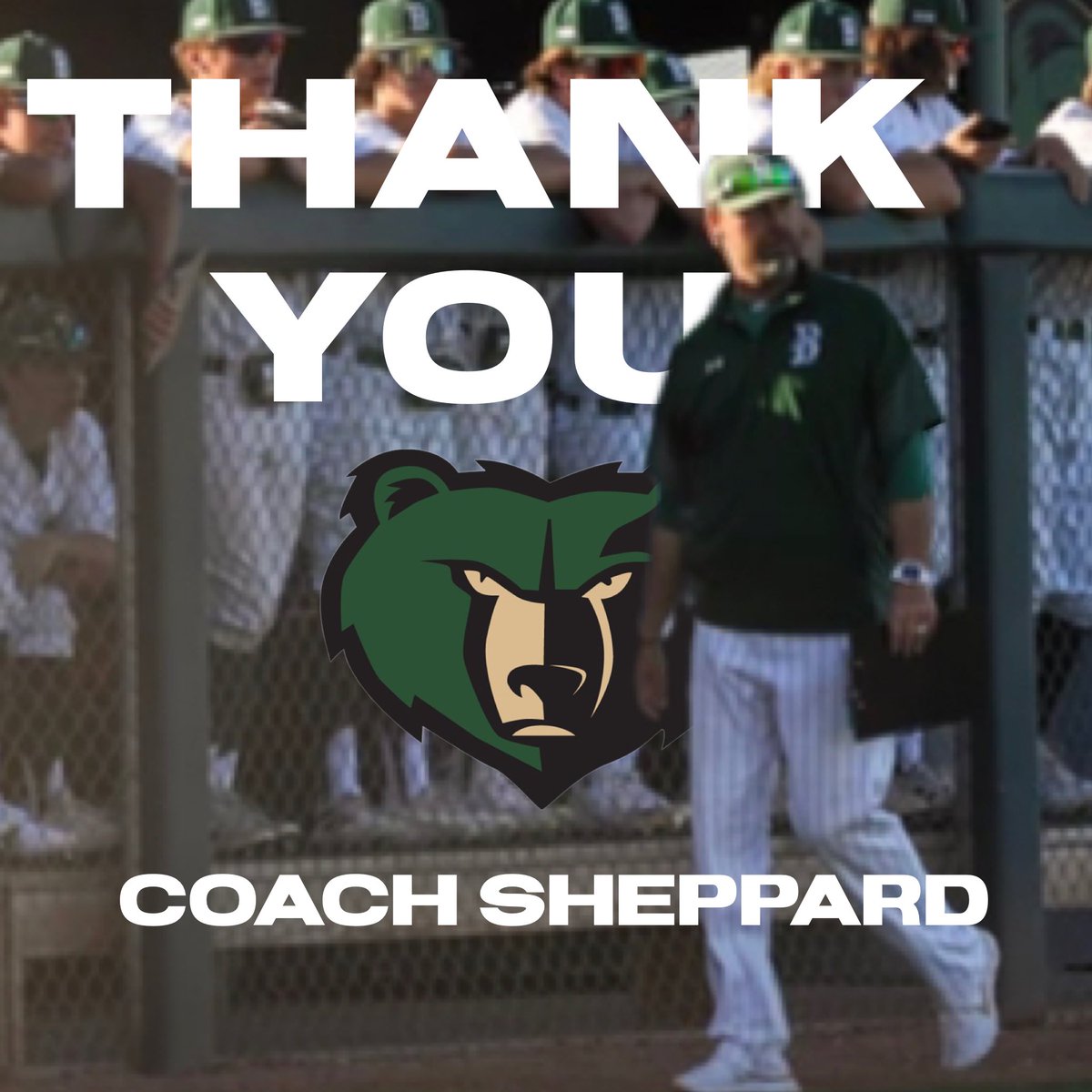 basha pitchers tweet media