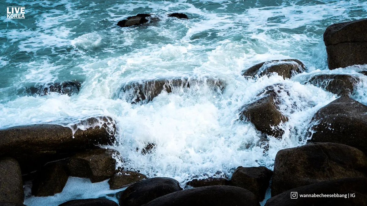 Busan, Korea 🇰🇷
📷: wannabecheesebbang | IG
<a href="/livekoreasouth/">Live Korea</a> #livekorea #korea #travelkorea