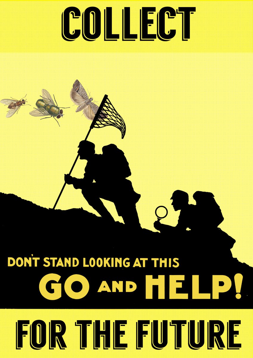 DrJordanBailey's tweet photo. I've made some more posters to remind you all about the importance of accessioning your specimens! This time for #entomology. Print them off yourself or buy prints from Redbubble. #collections #specimens

https://t.co/HkA4DsXSFG https://t.co/SAxavIHbzi
