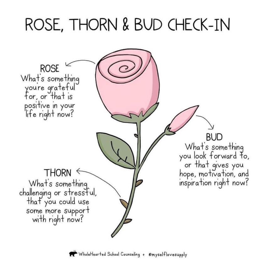 Joshi_anch's tweet photo. A spring check-in!  I will be using this one in my virtual classes. Now a rose has so much more significance to me. https://t.co/7QLVws9tPE