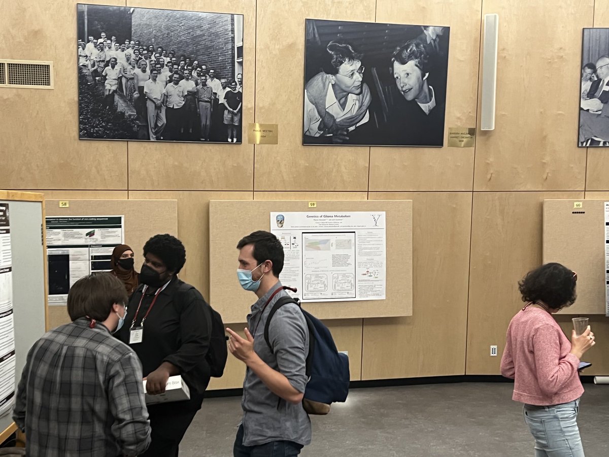 Marcus Alexander, MD, PhD tweet media