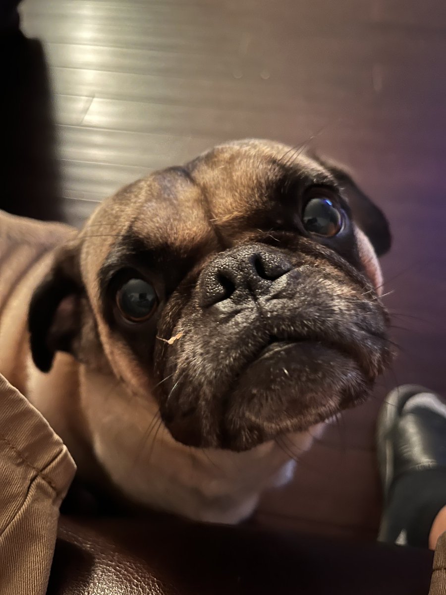 RST_H_'s tweet photo. What’s up MP Fam time you guys get to know the faces behind “MATRIX PUNKS”  and the Piece of mind my #PuG #Blessn brings me #Comfort with my everyday battle as well❤️ #Love 
#MentalHealthAwarenessMonth #mentalhealth  #NFTCommunity #nft  #NFTGiveaways 
Who wants a MP? Drop dat add https://t.co/s4EOkitEkk