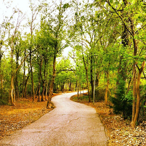 I had a wonderful interaction with a stranger, at a park in Harrah, OK. New little blog post up to tell the story! lazywmarie.com/near-miss-a-ne… #lazyw #gobekind