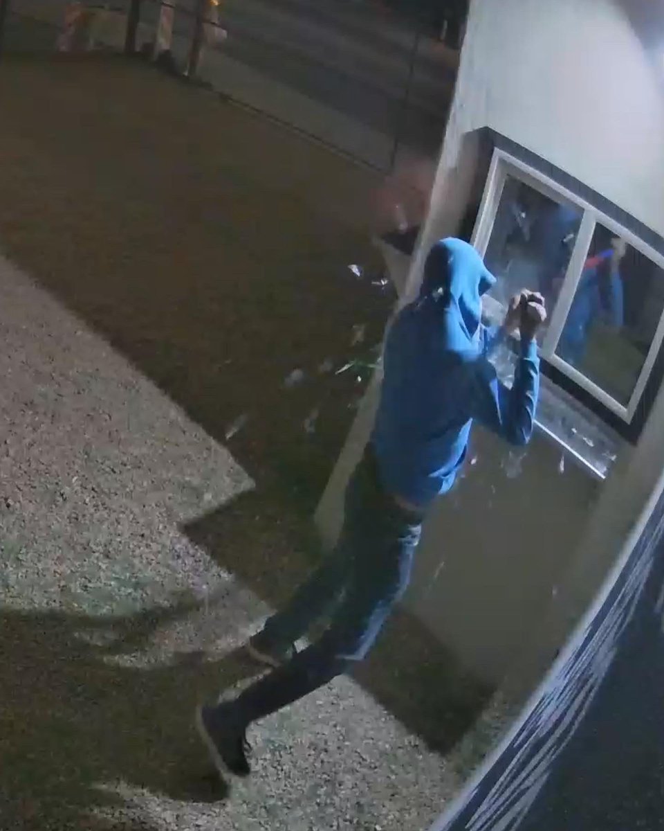 TBotannas's tweet image. 