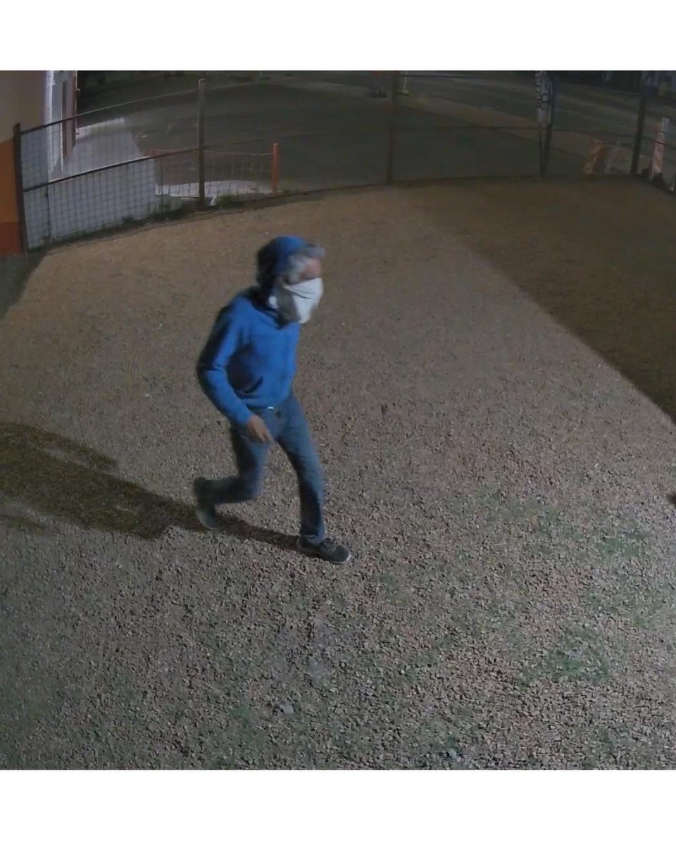 TBotannas's tweet image. 