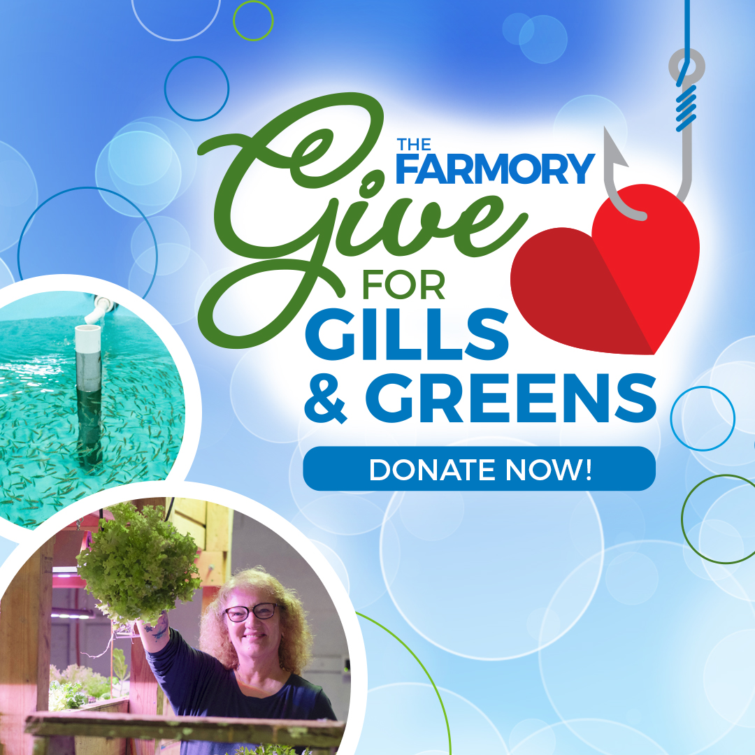 Our Give for Gills &amp; Greens #campaign has #teams! If you know someone on The Farmory staff or board, you can direct your donation to that person's team. 🐟🥗 Let's see who gets the most #support and #donations for their team! Checks are welcome.
farmory-bloom.kindful.com/2022