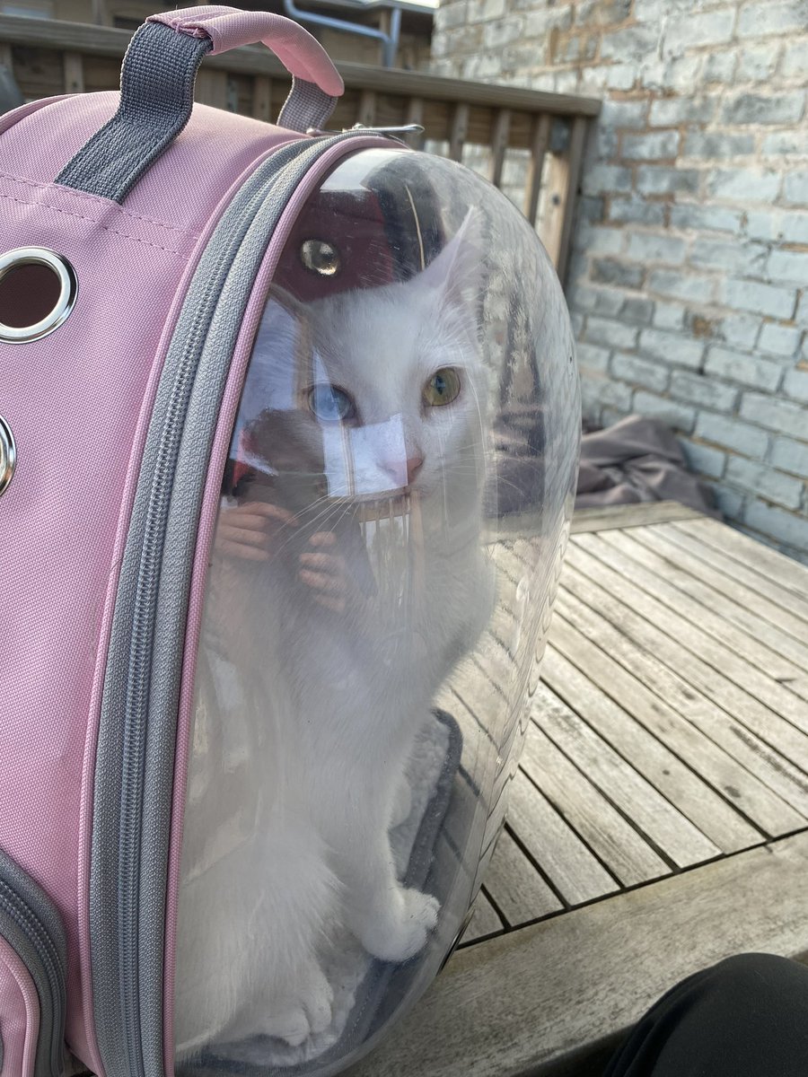 o don’t know what to tweet on here anymore…. Im not who I was in 2018…. Here’s maple