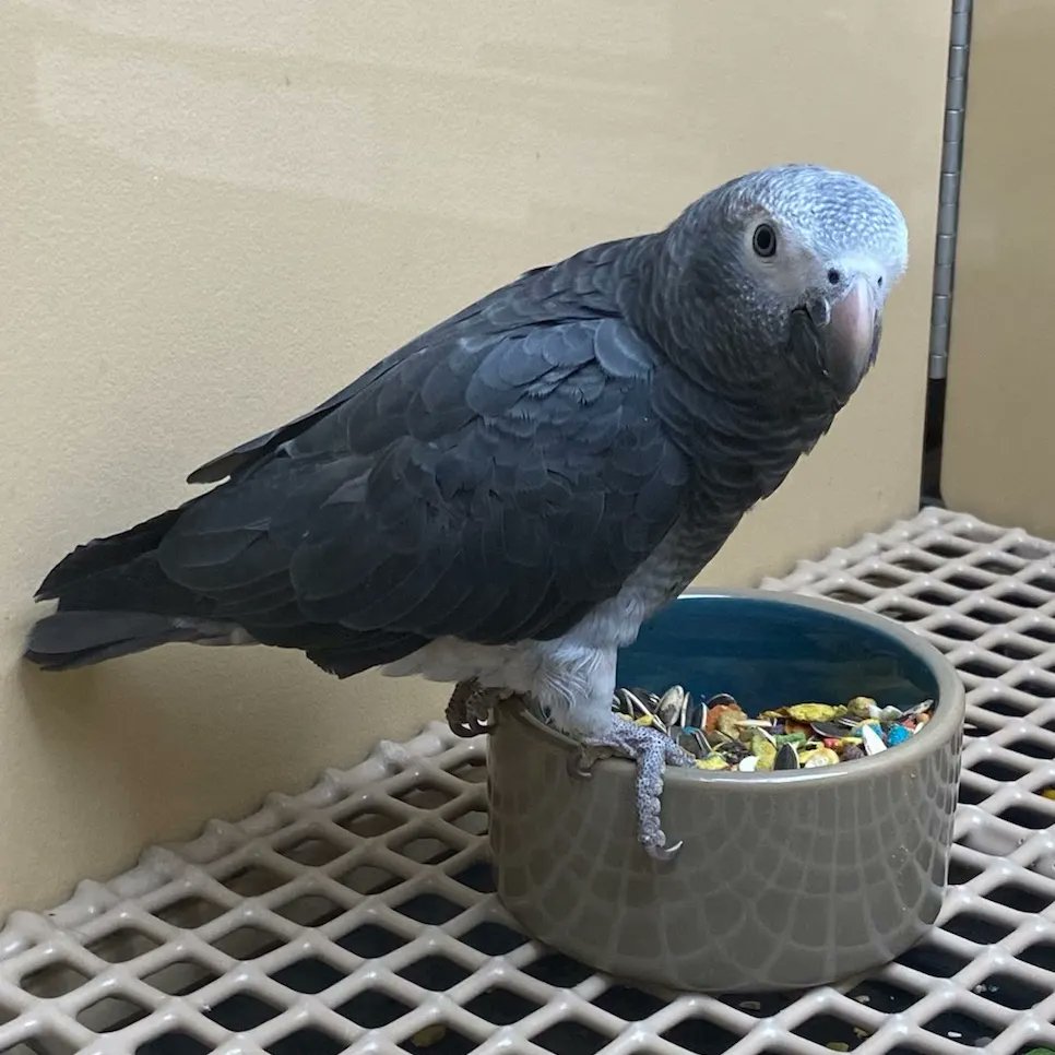 I hope that you all had a wonderful day! I know that me and spirit did!